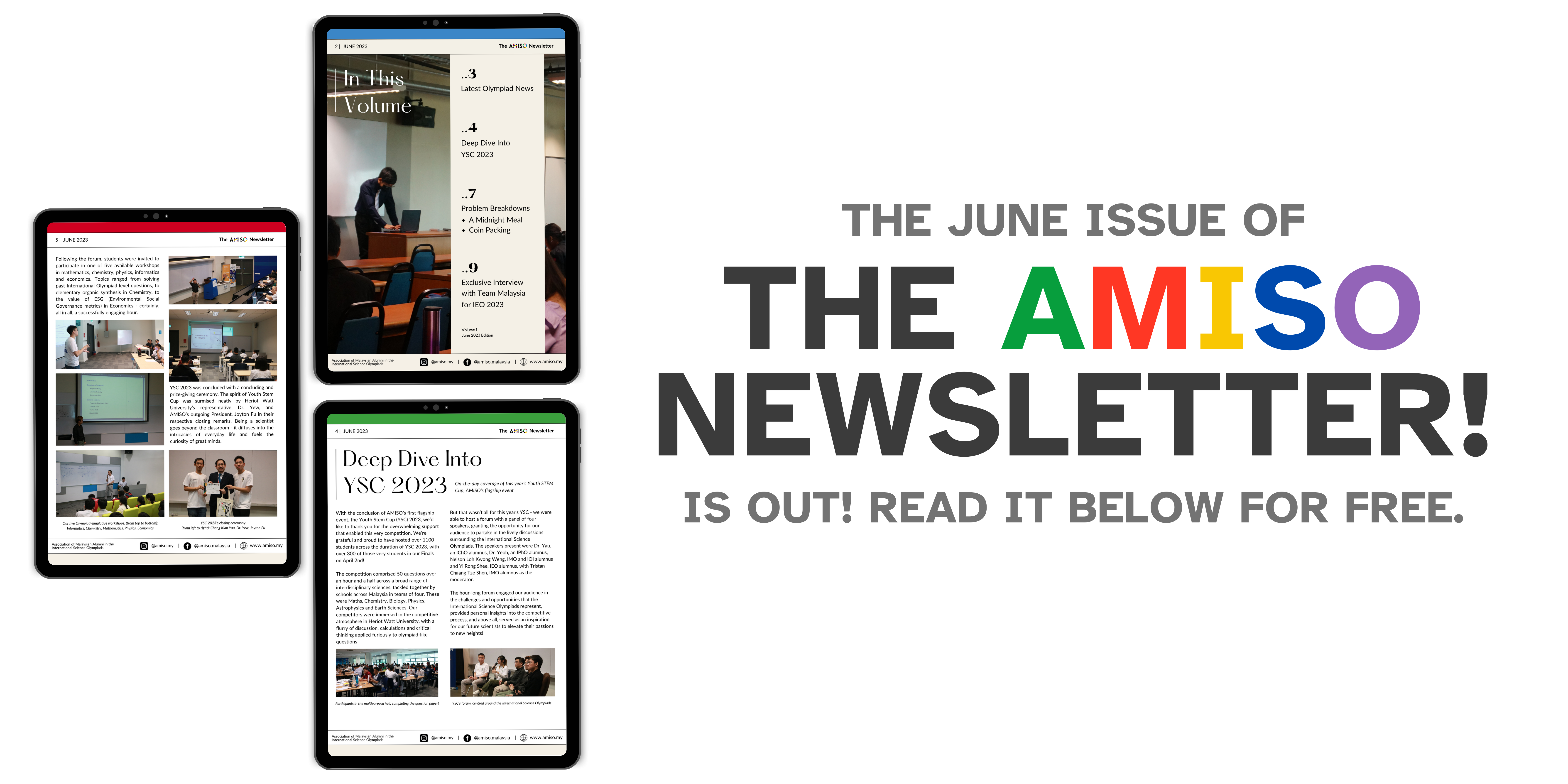 AMISO June Newsletter